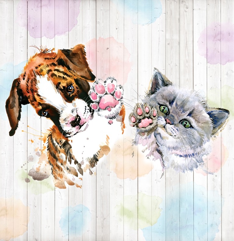 Котенок и щенок 3
