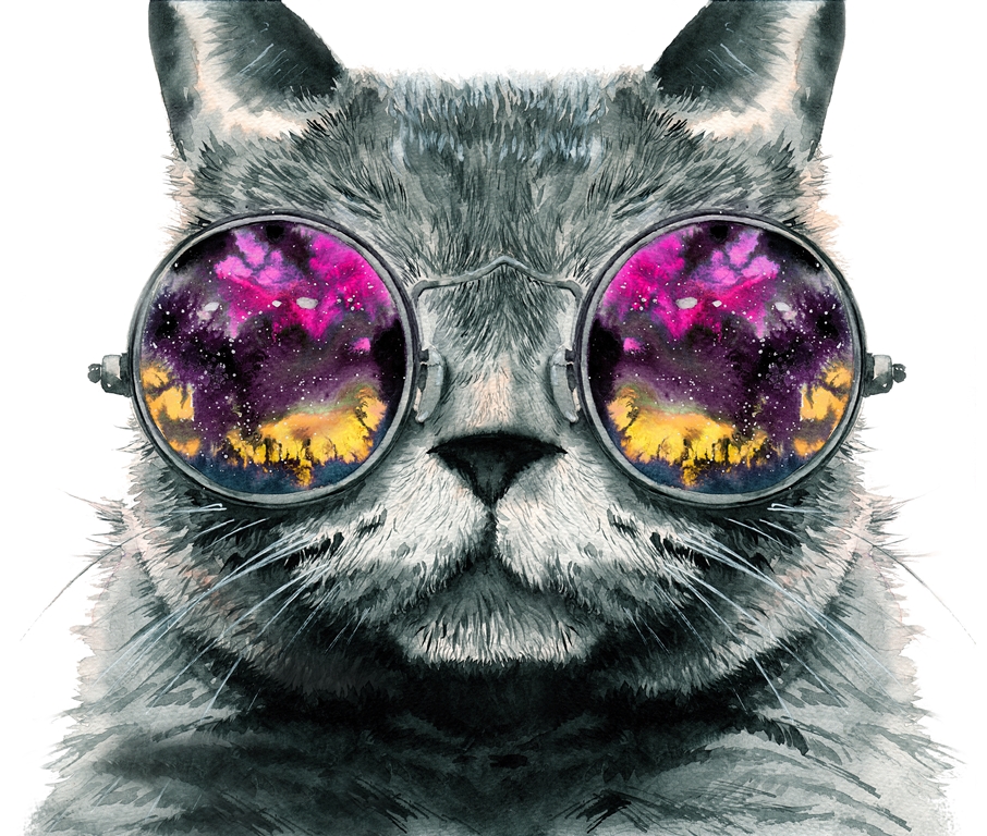 Кот в очках 1