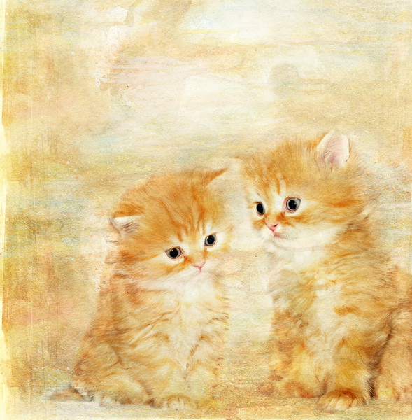 Котята 3