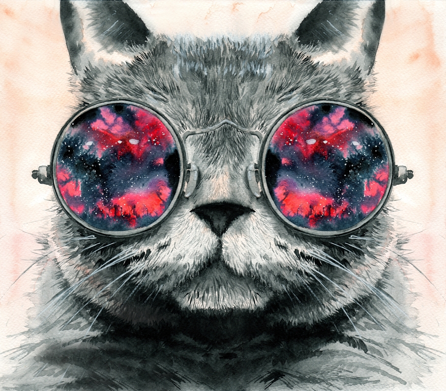 Кот в очках 2