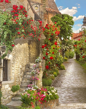 Улица в Европе 25