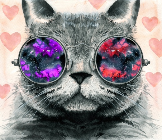 Кот