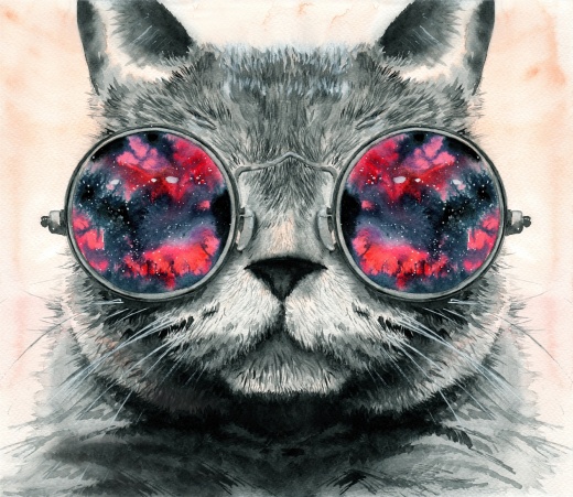 Кот в очках