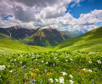 Горный пейзаж 16