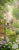 Тропинка в парке