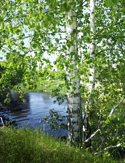 Берег