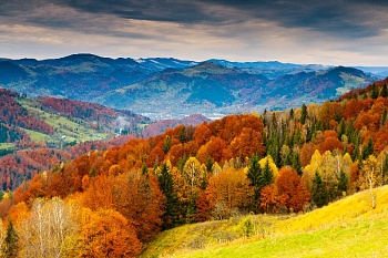 Осенний лес 3