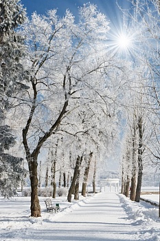 Зимний парк